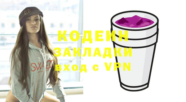 индика Бугульма