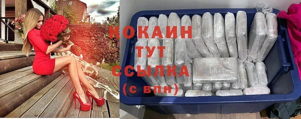 индика Бугульма