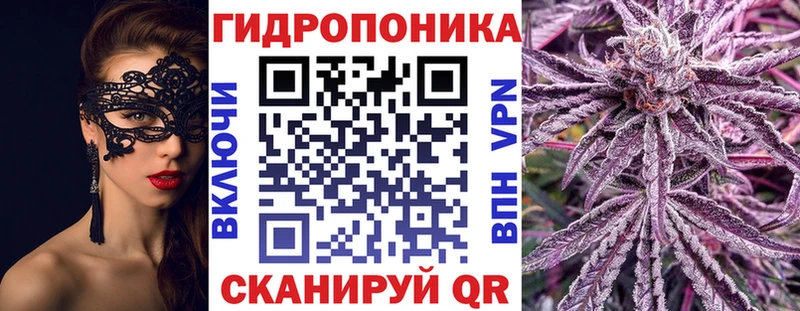 мориарти какой сайт  Лодейное Поле  Бошки марихуана сатива 